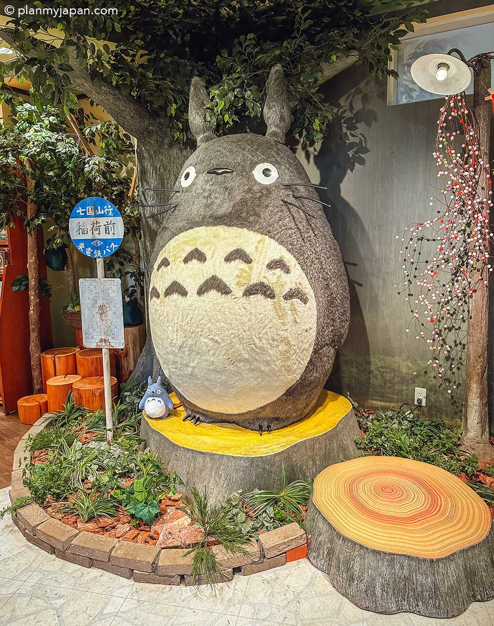 Donguri Republic Studio Ghibli Official Stores in Japan + Photos - Plan