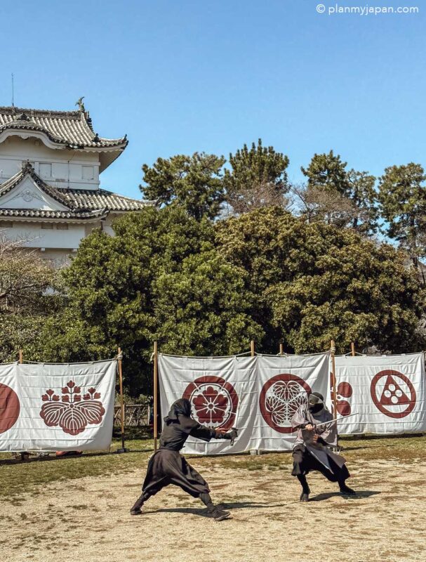 Nagoya Castle Ninja Show