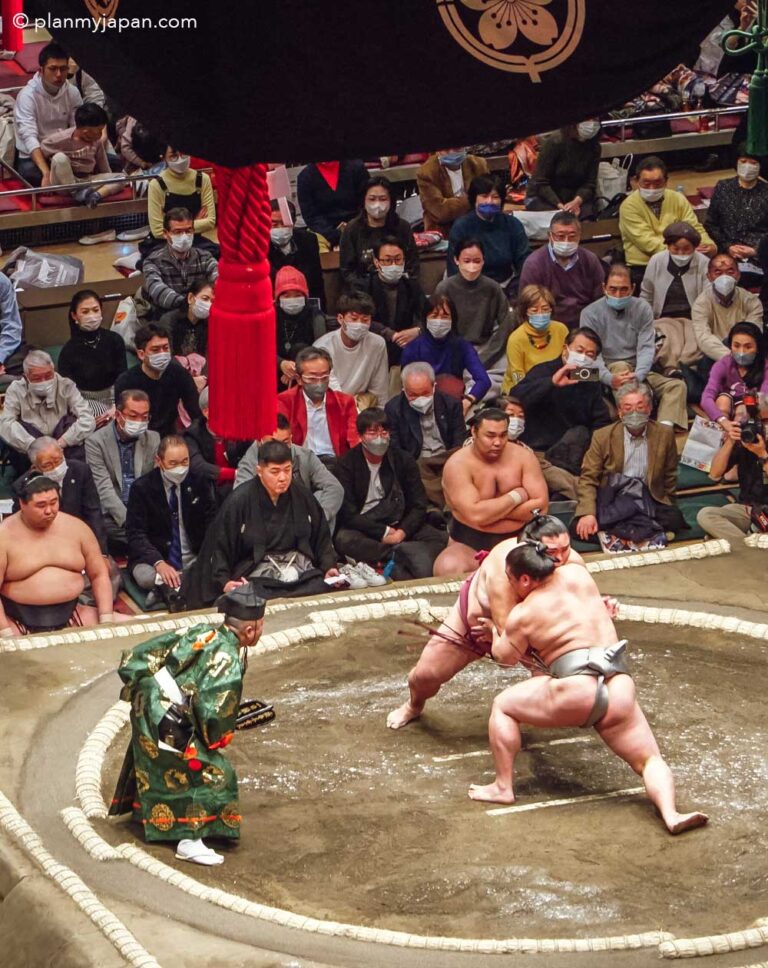 Sumo Wrestling Tokyo Tickets 2025 / 2026 Guide + Photos Plan My Japan