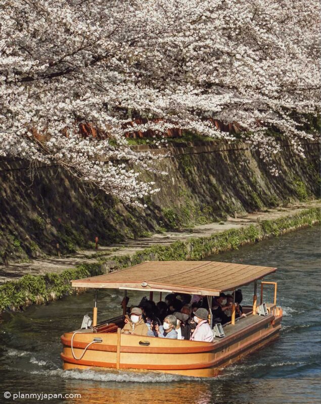 Okazaki Canal boat Kyoto cherry blossom Japan