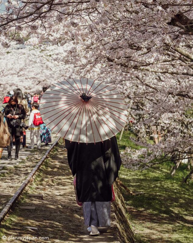 Keage Incline Kyoto cherry blossom Japan