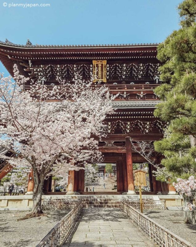 Konkai Komyo-ji temple (Kurodani) Kyoto cherry blossom Japan