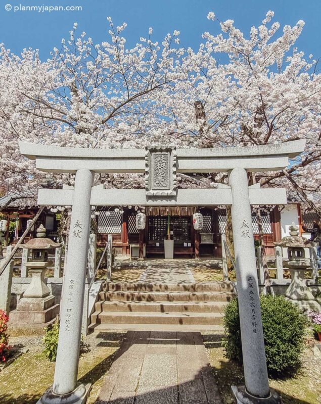 Shinshō Gokuraku-ji (Shinnyo-dō) Temple Kyoto cherry blossom Japan