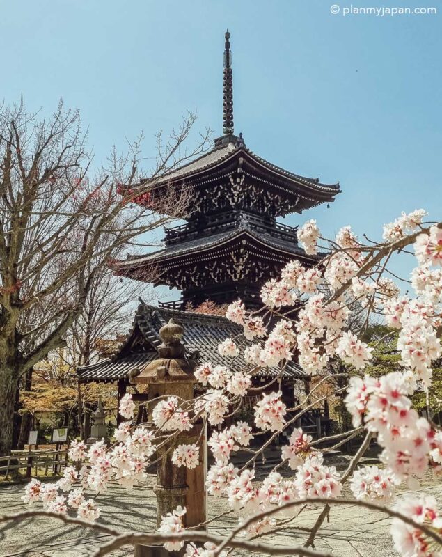 Shinshō Gokuraku-ji (Shinnyo-dō) Temple Kyoto cherry blossom Japan