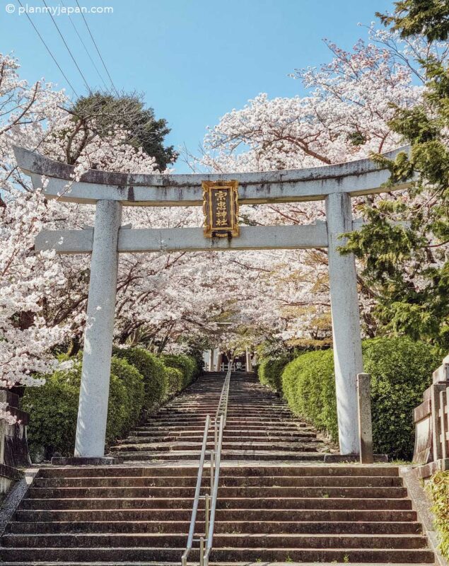 Munetada-jinja Shrine Kyoto cherry blossom Japan