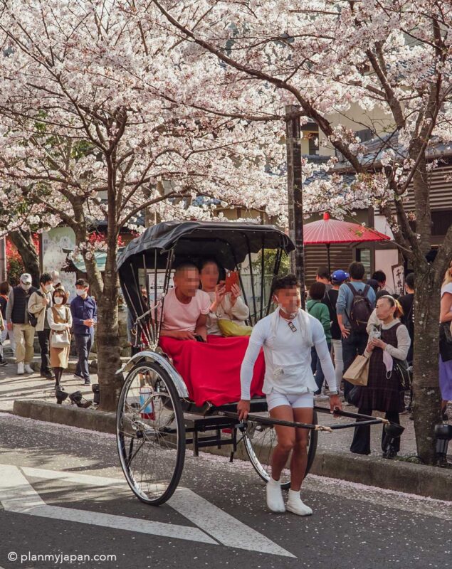Arashiyama Kyoto cherry blossom Japan