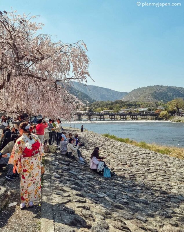 Arashiyama Kyoto cherry blossom Japan