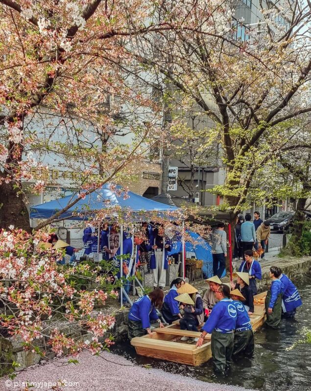 Kiyamachi Dori Kyoto cherry blossom Japan boat