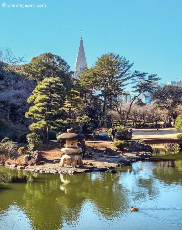 Shinjuku Gyoen National Garden in Tokyo Japan