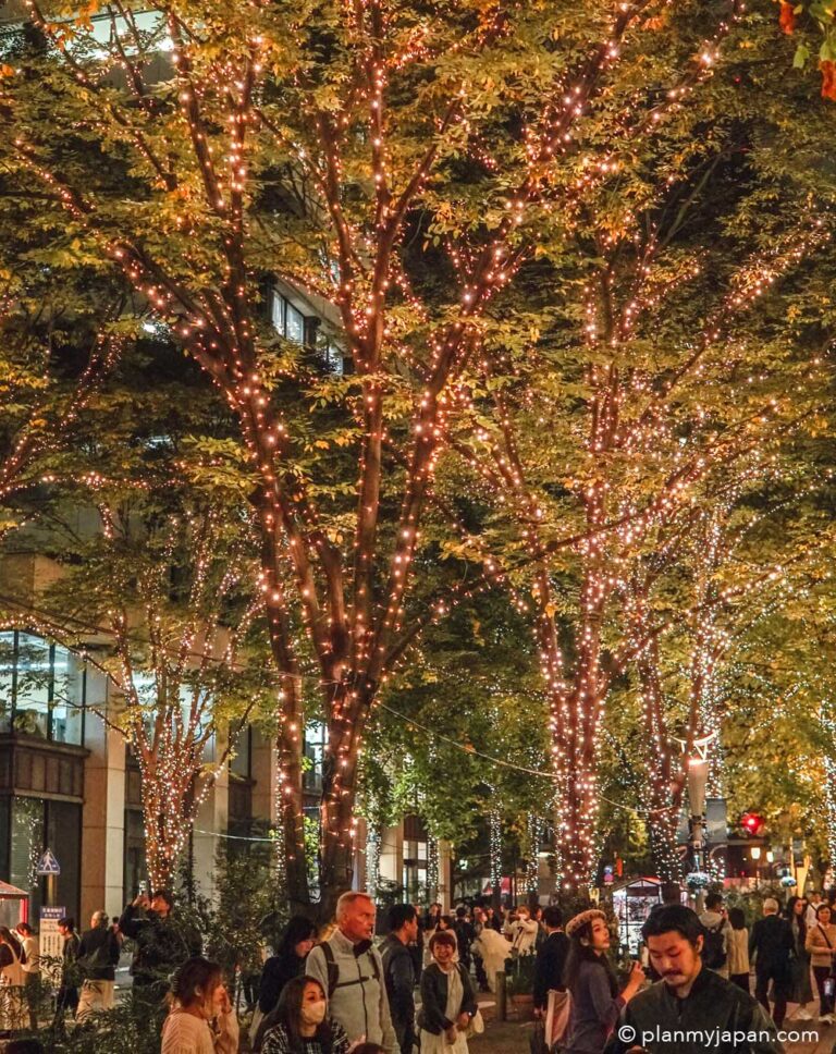 Tokyo February Tokyo February 2026 Events, Festivals and Concerts - Plan My Japan