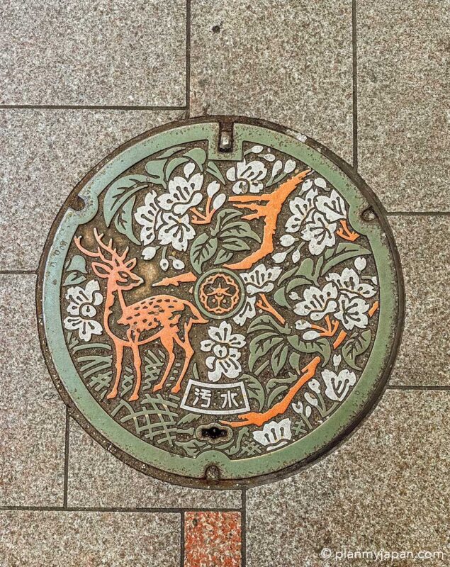 nara manhole covers