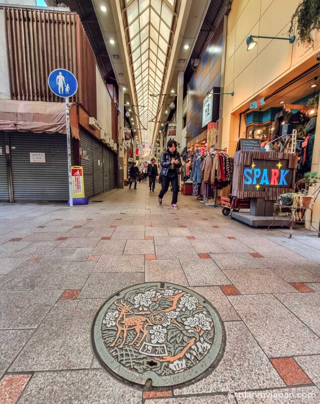 nara manhole covers